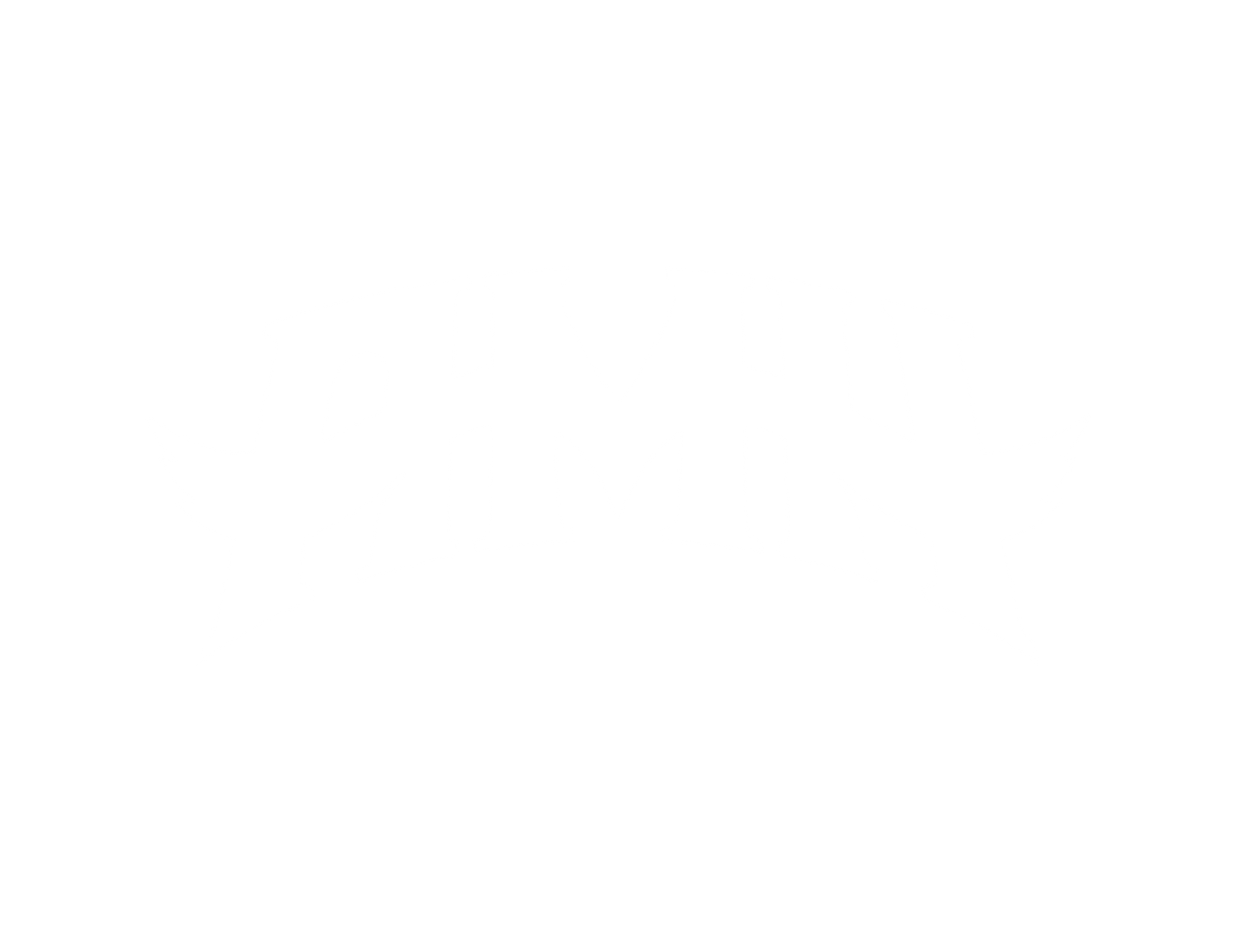 Adam and the Metal Hawks