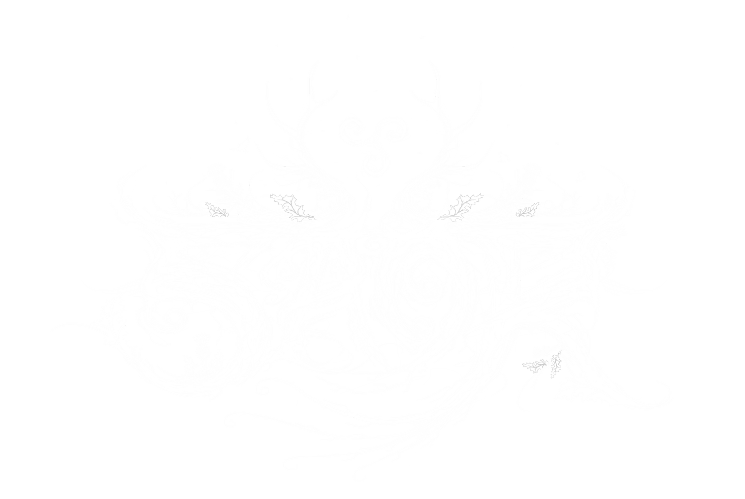 Web