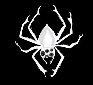 Web