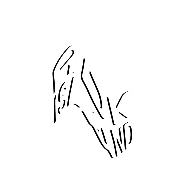 WCC