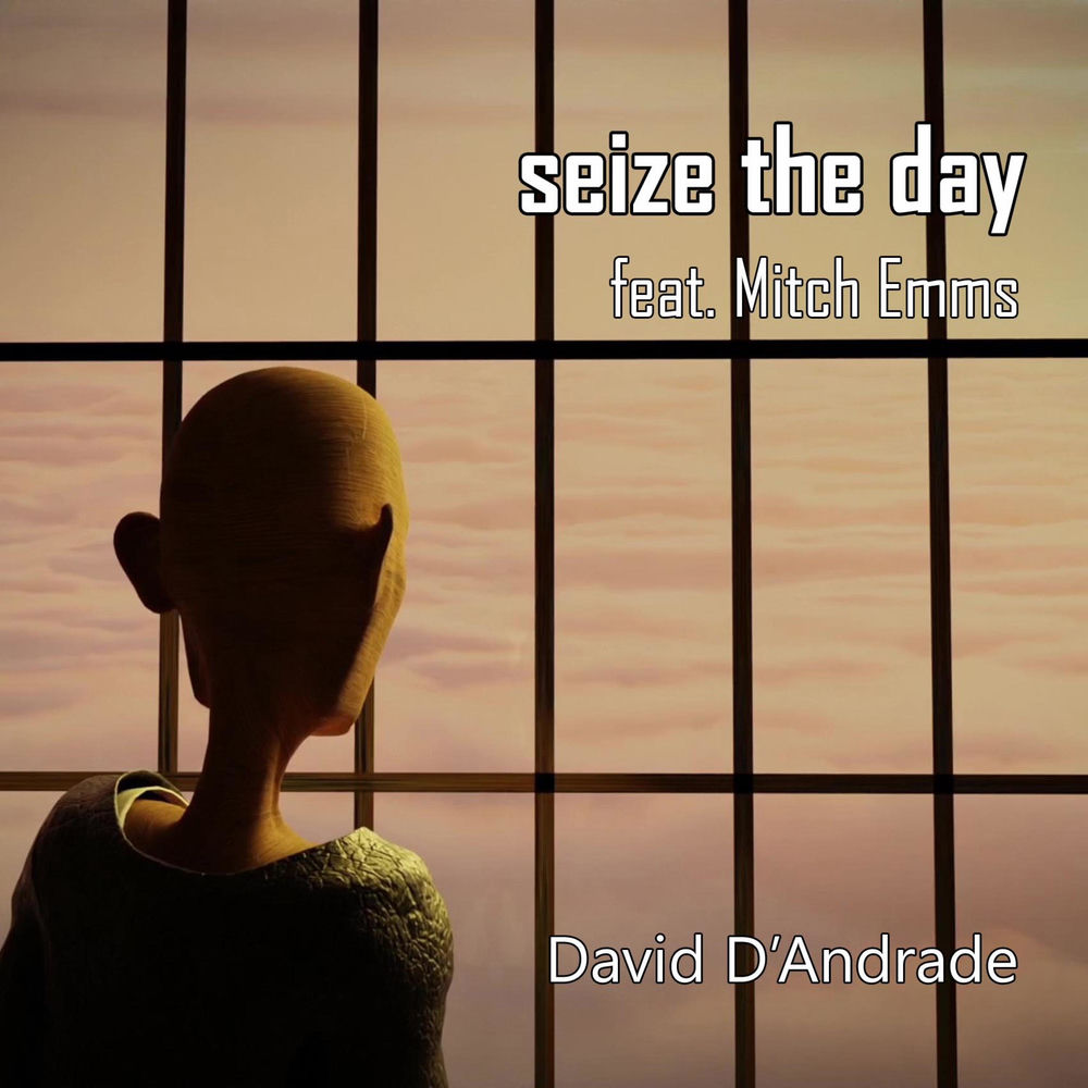 David D'Andrade