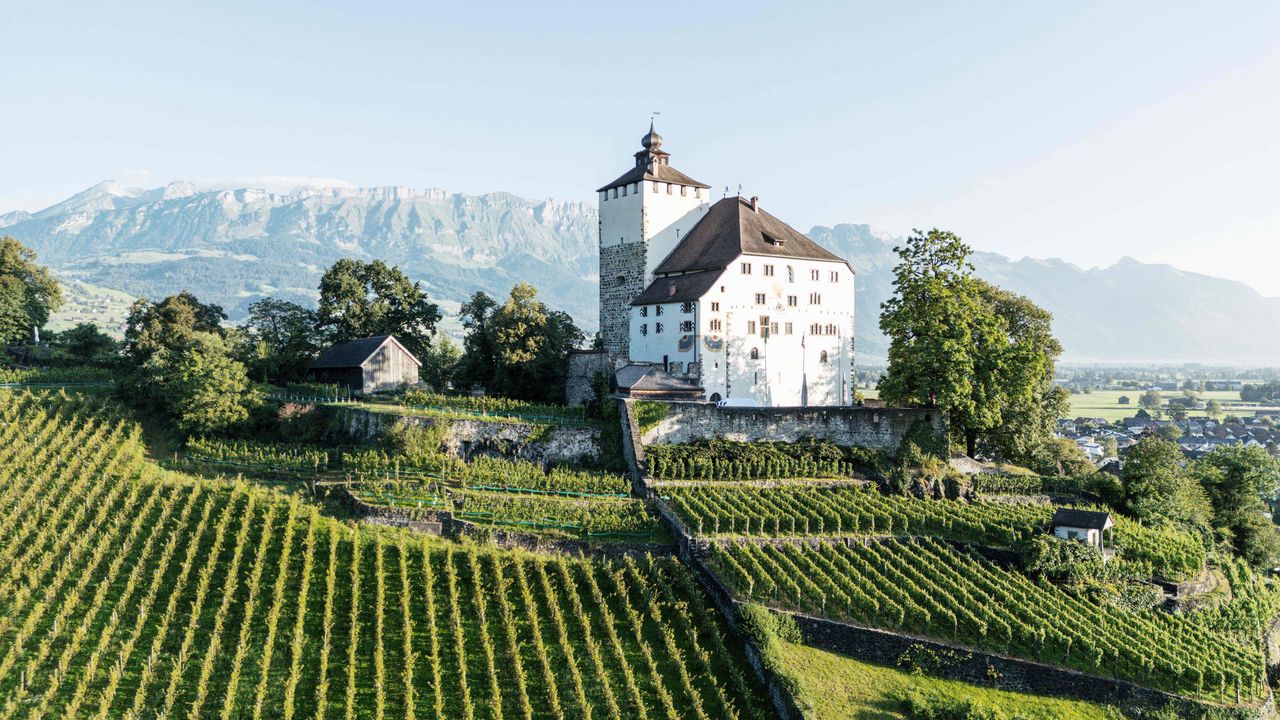 Verein Schloss Werdenberg