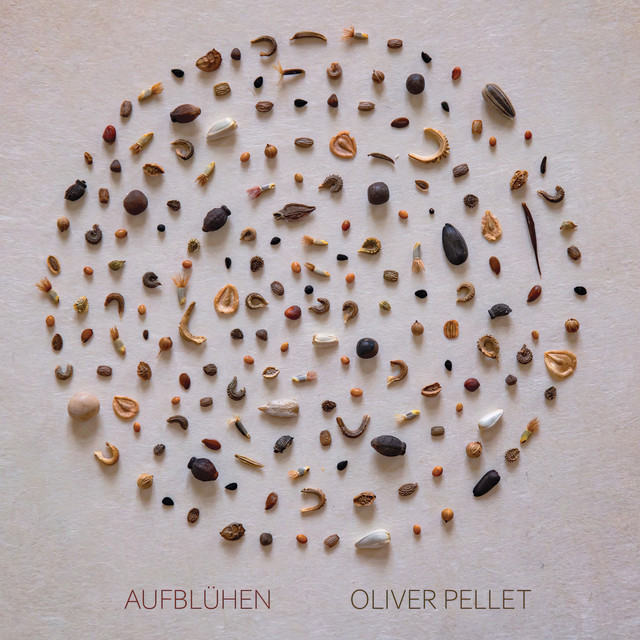 Oliver Pellet