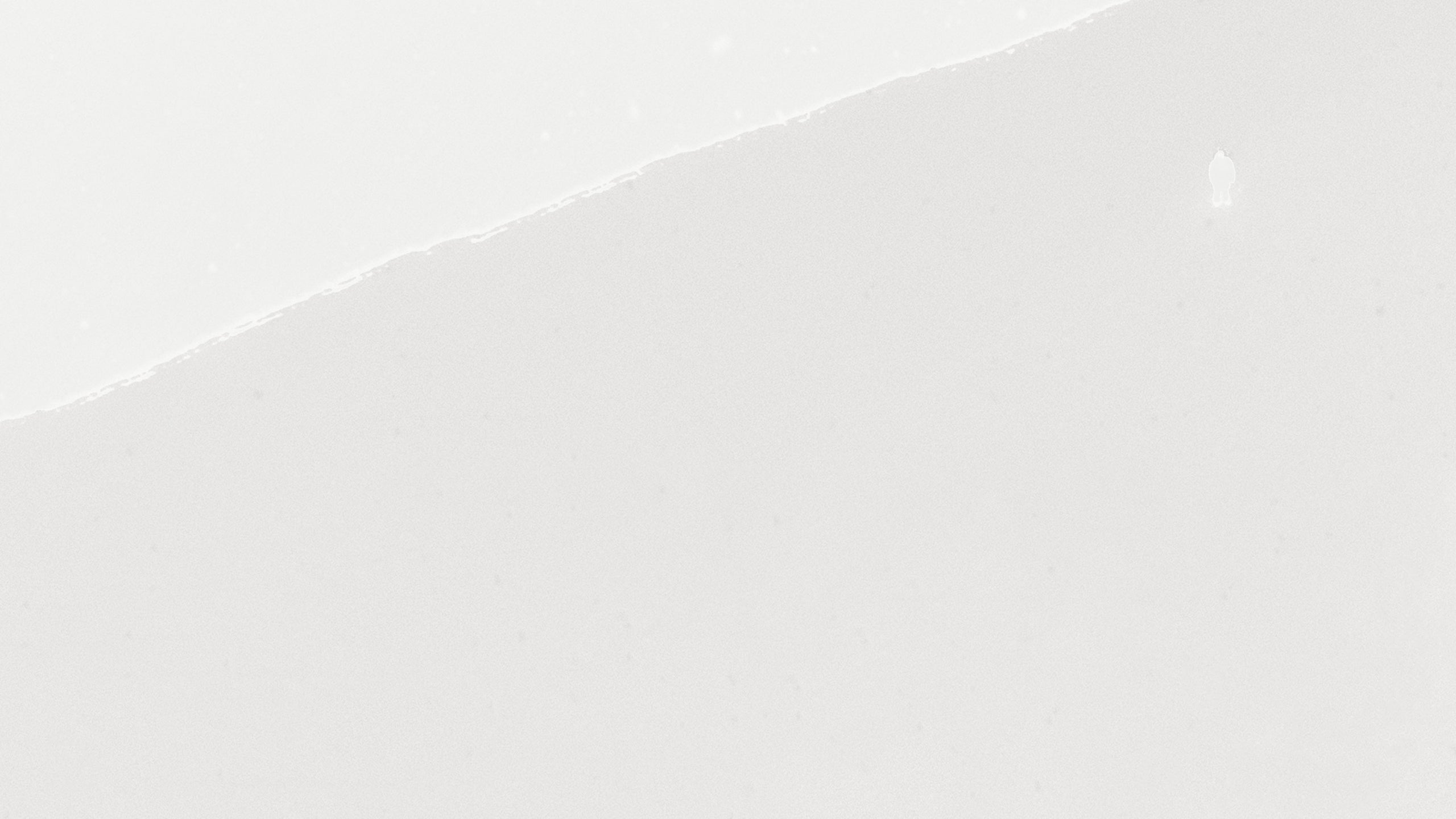 Web