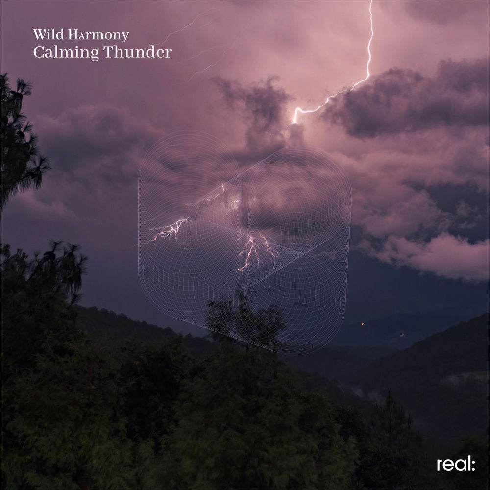 Wild Harmony