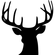 Kulturbeiz Hirschen