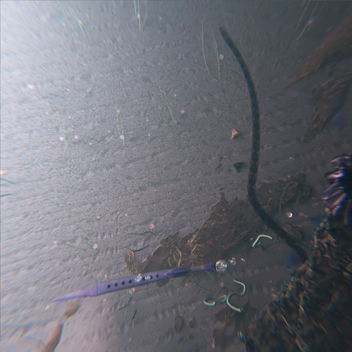 Web