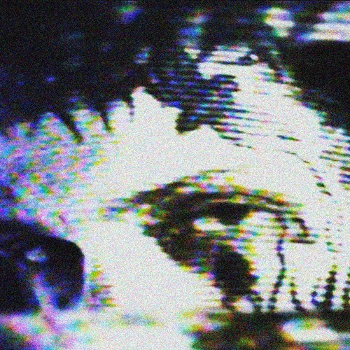 Web