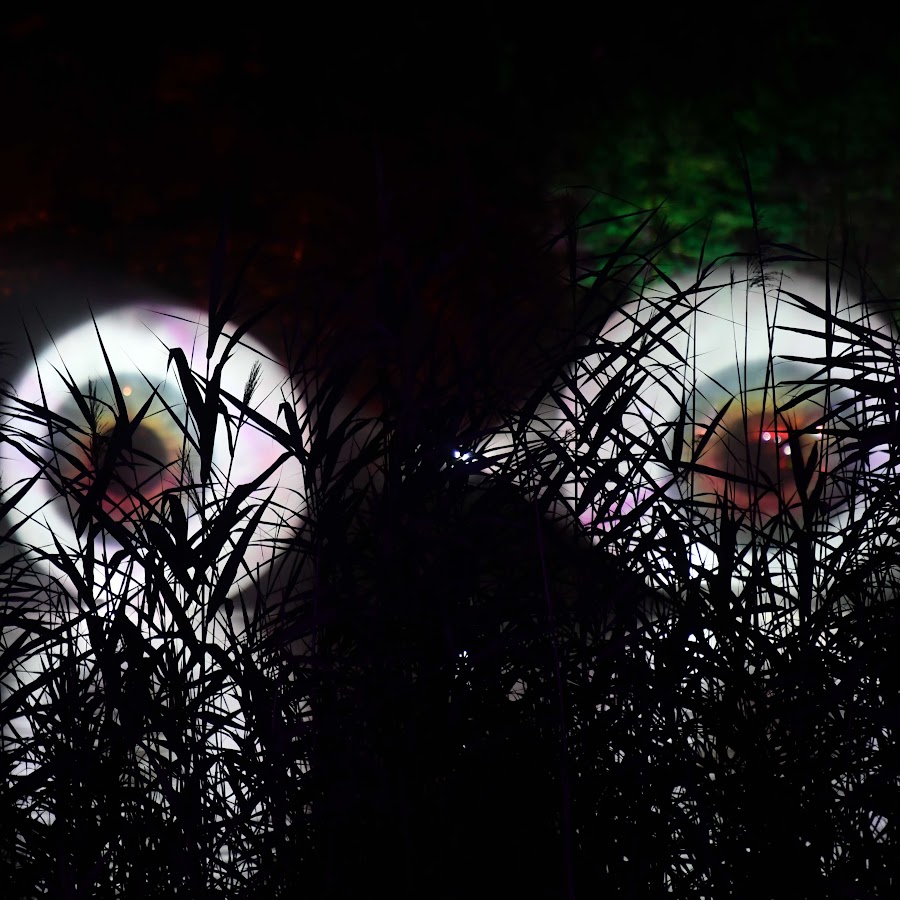 LICHTPIRATEN visuals