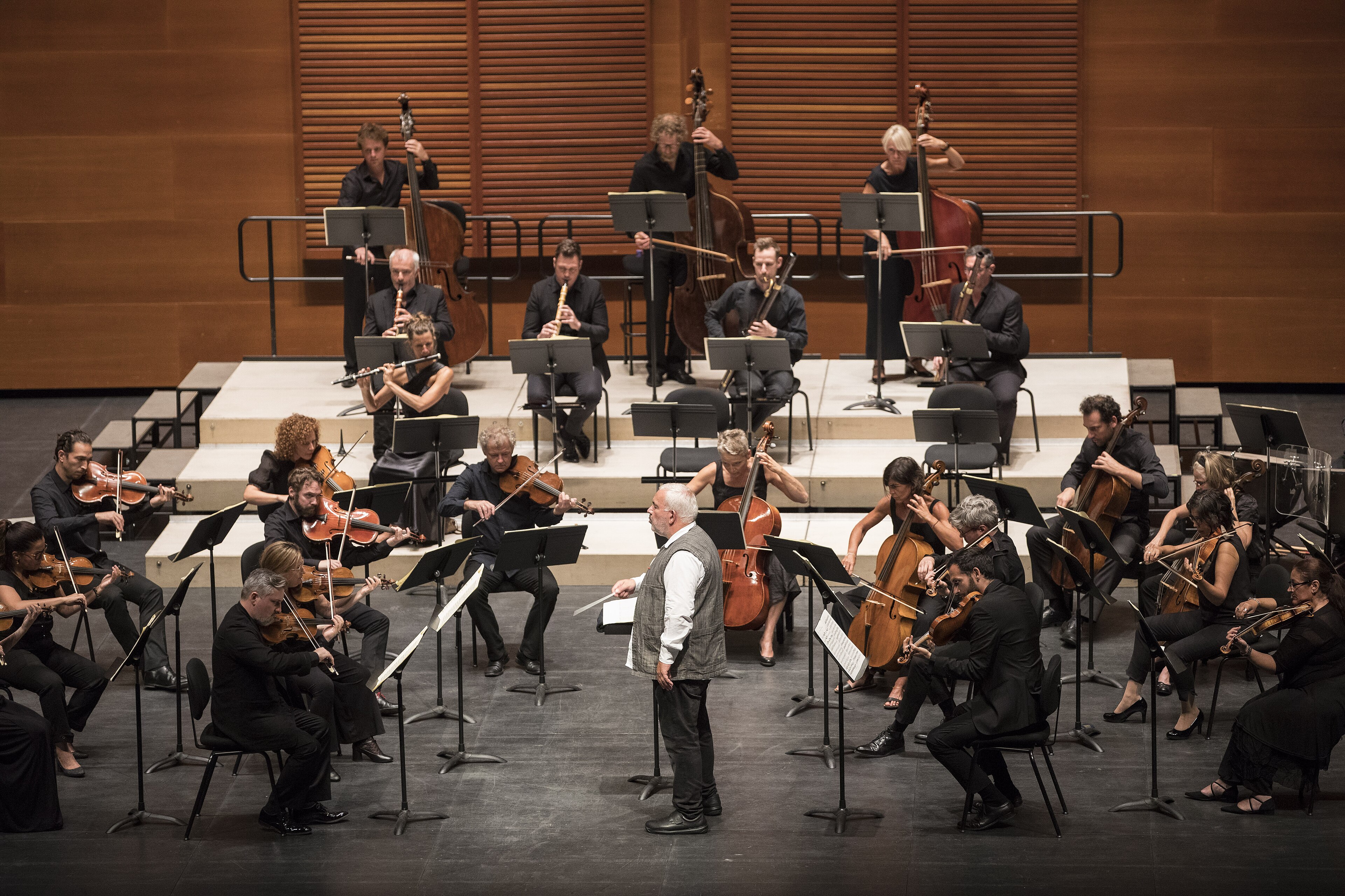 Les Musiciens du Louvre