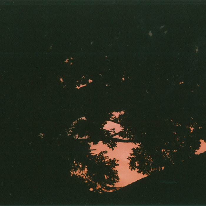 Web