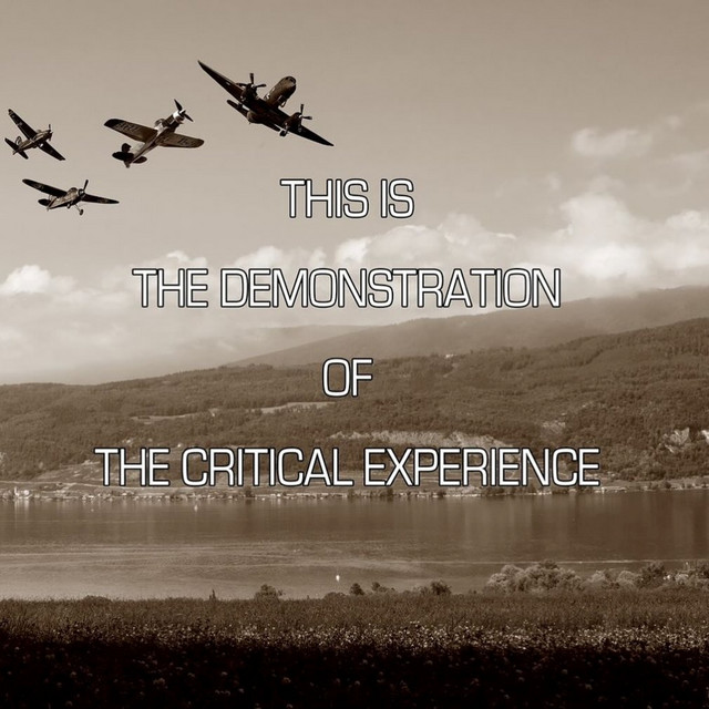 THE CRITICAL EXPERIENCE