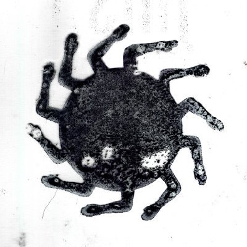 Web